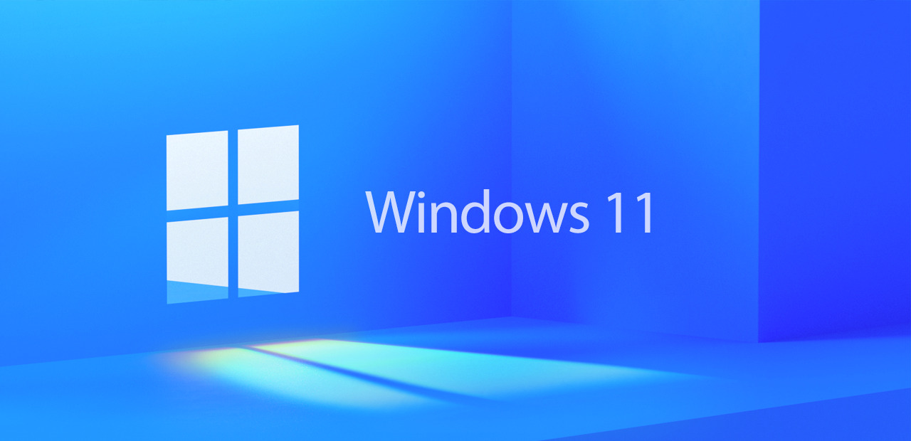 La dernière préversion de Windows 11 autorise les « live kernel dumps »